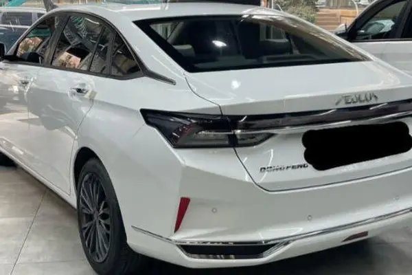 دانگ فنگ، شاین مکس