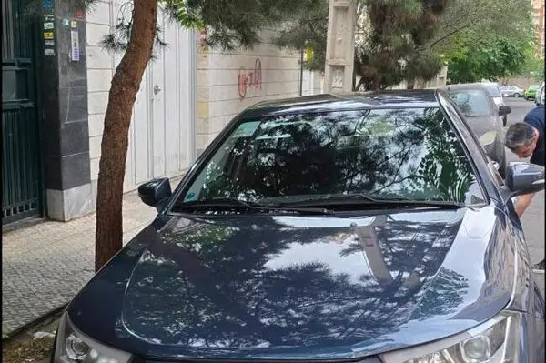 دنا  پلاس EF7