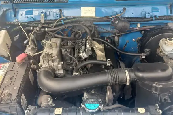 زامیاد، وانت نیسان