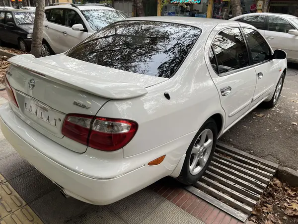 نیسان، ماکسیما