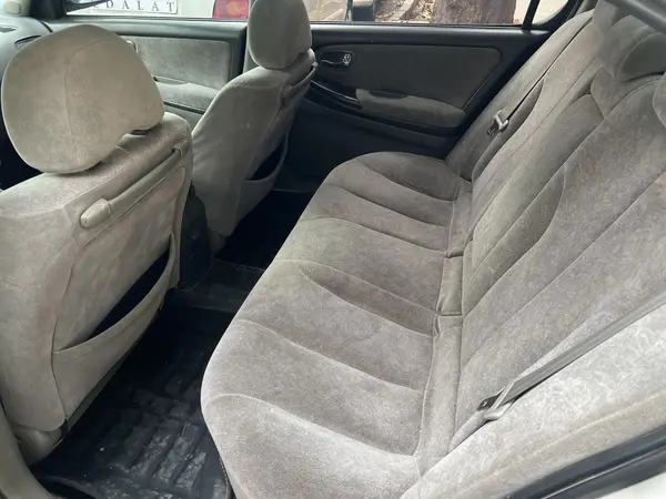 نیسان، ماکسیما