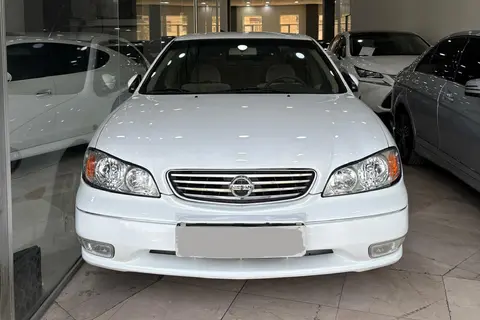 نیسان، ماکسیما