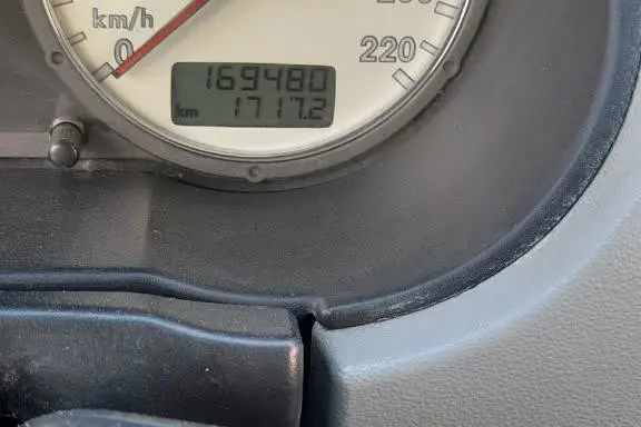 فولکس،  گل