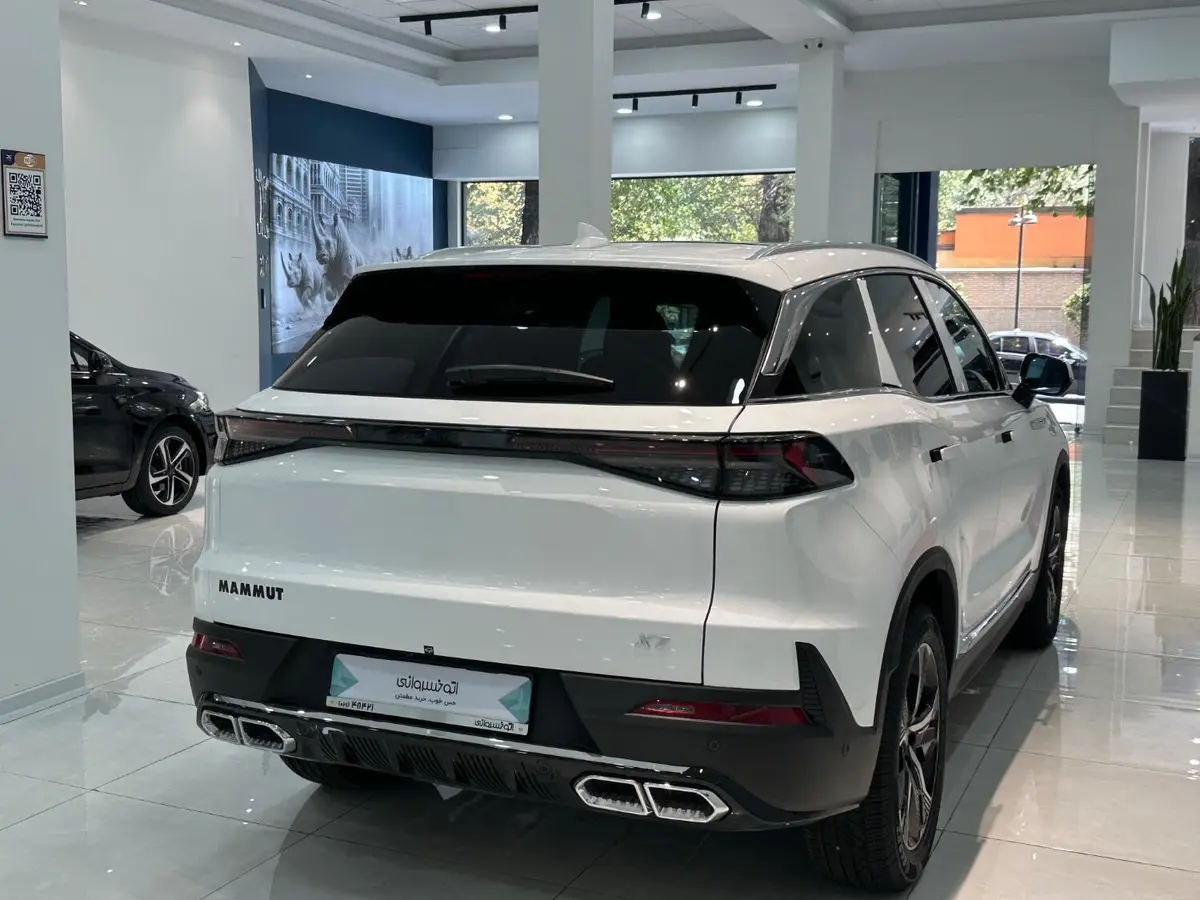 بیجینگ،  X7