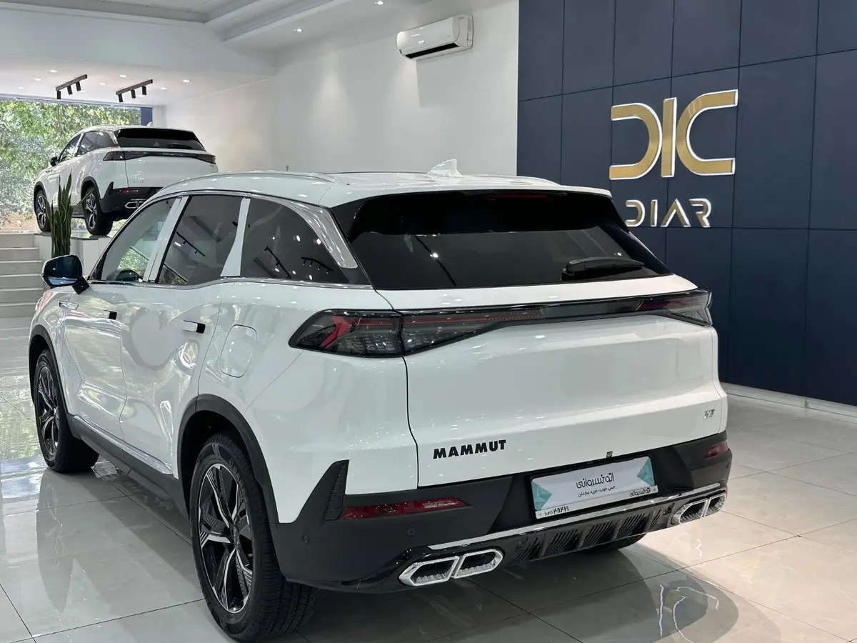 بیجینگ،  X7
