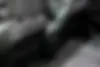 لاماری،  ایما