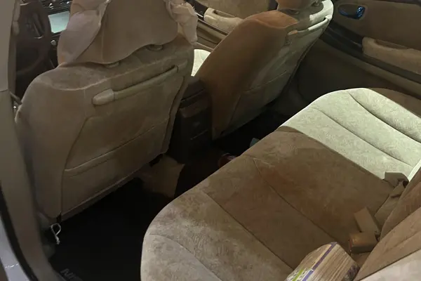 نیسان، ماکسیما