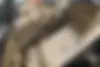 سوزوکی  سیاز