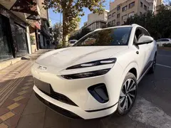 بی وای دی، سی لاین 06 DMi