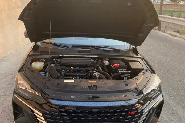 دانگ فنگ، شاین مکس