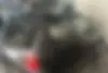 ام وی ام،  110