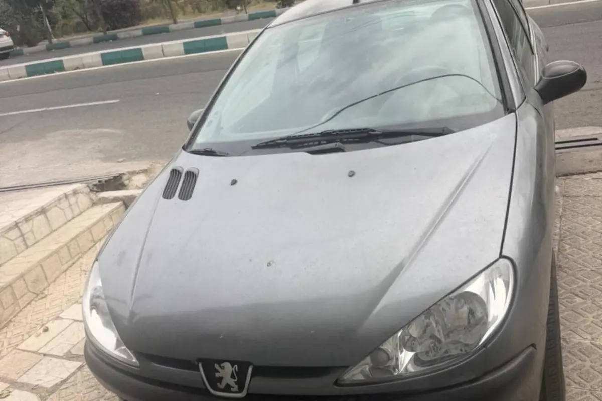 پژو،  206