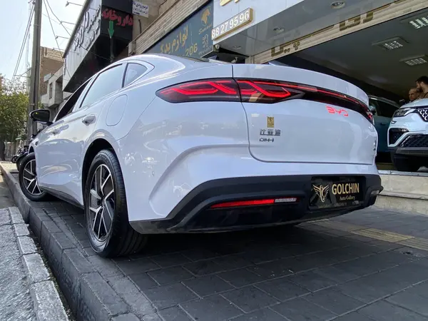 بی وای دی، چین L