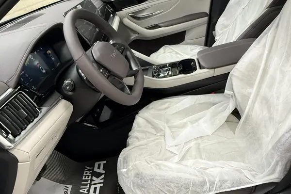 بی وای دی، سانگ پلاس DMi