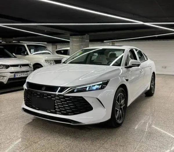 حواله بی وای دی، چین L