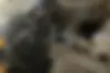 برلیانس  H330