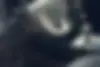 کیا  کادنزا