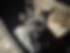 بنز  کلاس C