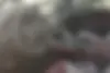 لکسوس  LX