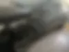 کیا، سراتو کوپ