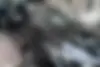 فونیکس  آریزو 6 پرو