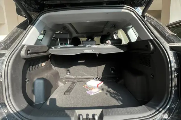 فونیکس، تیگو 7 پرو