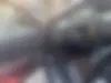 رنو،  کولیوس
