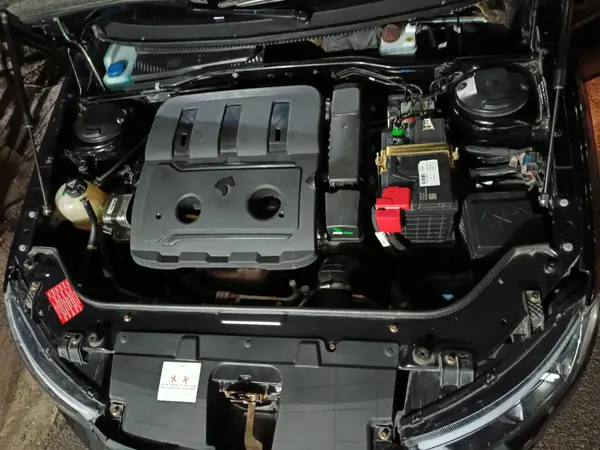 دنا، پلاس EF7P