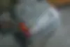رنو، پی کی
