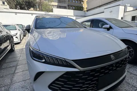 بی وای دی، چین پلاس DMi