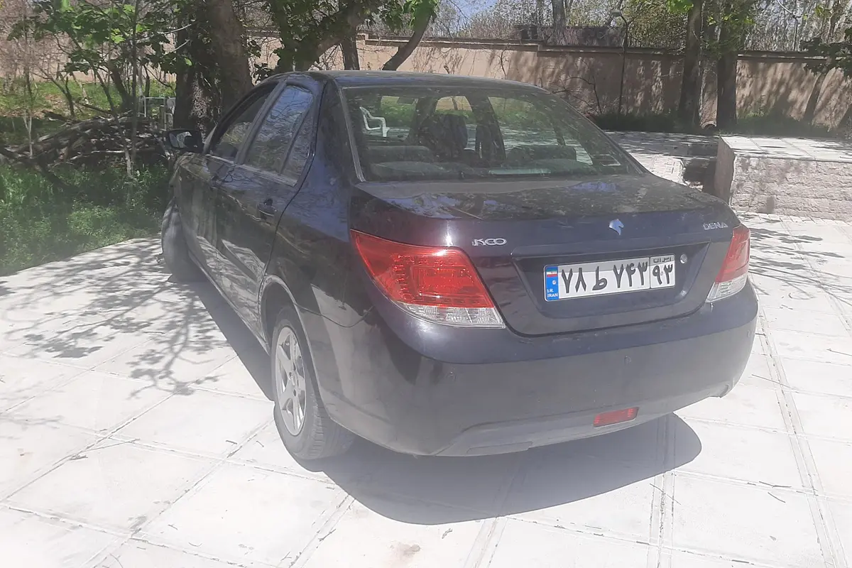 دنا،  معمولی