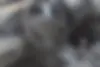 ام وی ام،  X33