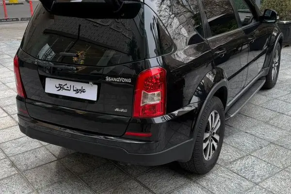 سانگ یانگ، رکستون