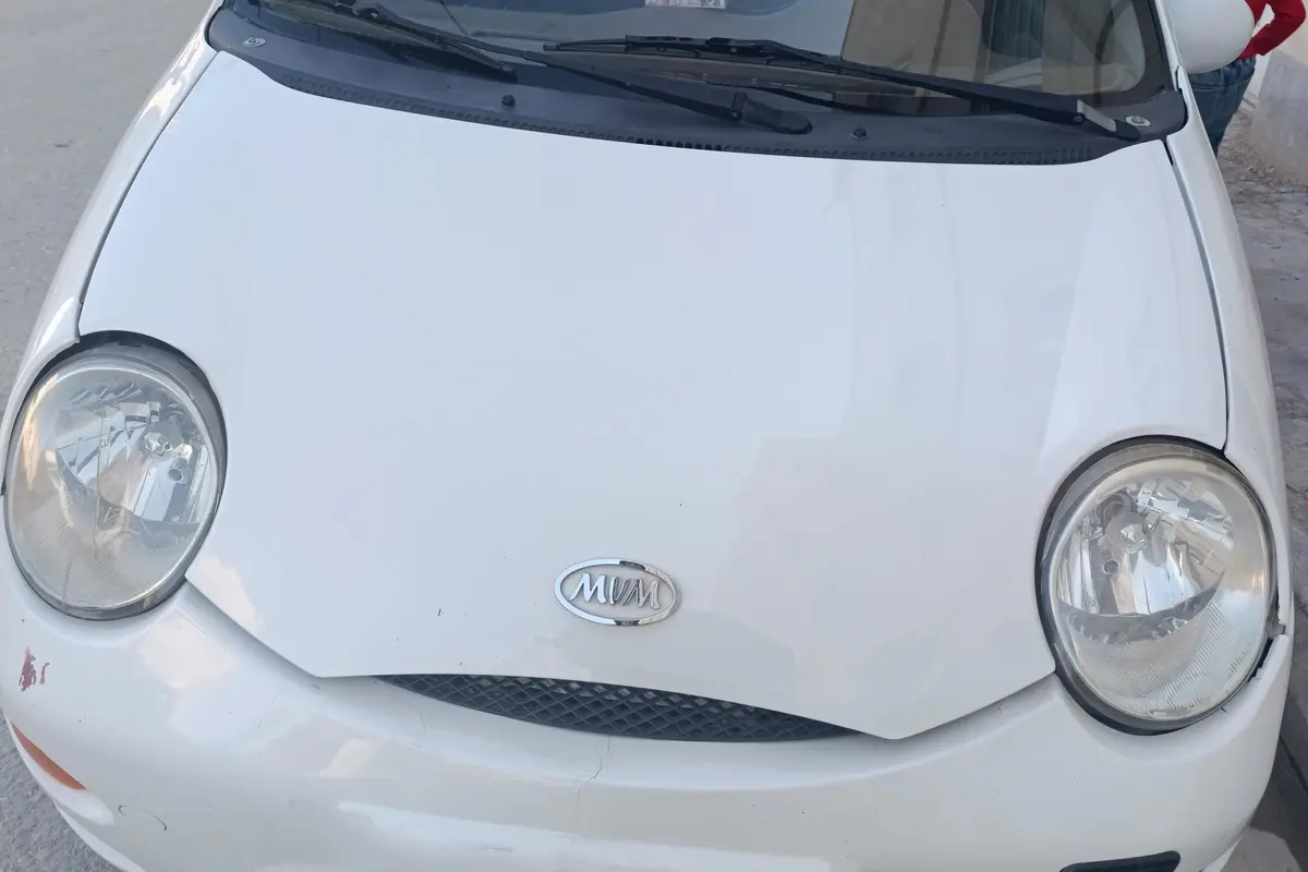 ام وی ام،  110