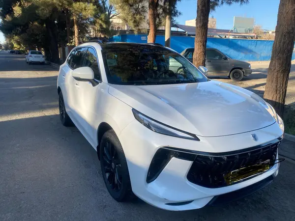 لاماری، ایما