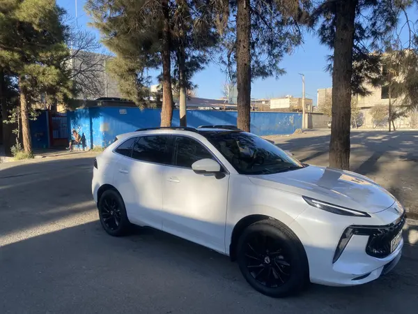 لاماری، ایما