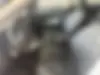 کیا،  سلتوس