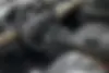 لاماری  اکو