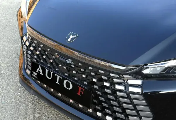 لاماری، اکو