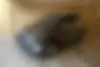 ام وی ام، X22