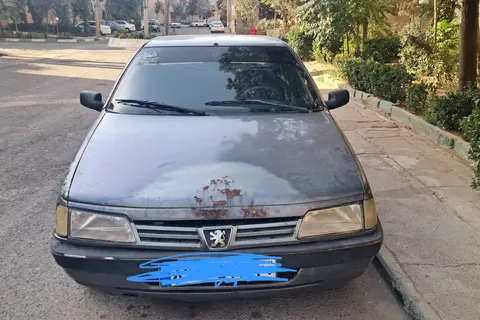 پژو، روآ