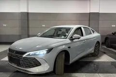 بی وای دی، چین L