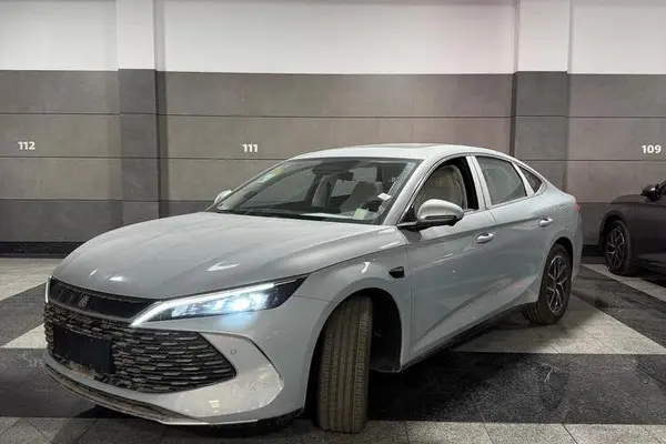 بی وای دی، چین L