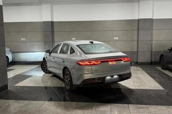 بی وای دی، چین L