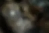 دنا  پلاس EF7