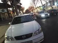 نیسان، ماکسیما