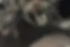 بنز،  کلاس C