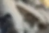 ام وی ام، X33 S