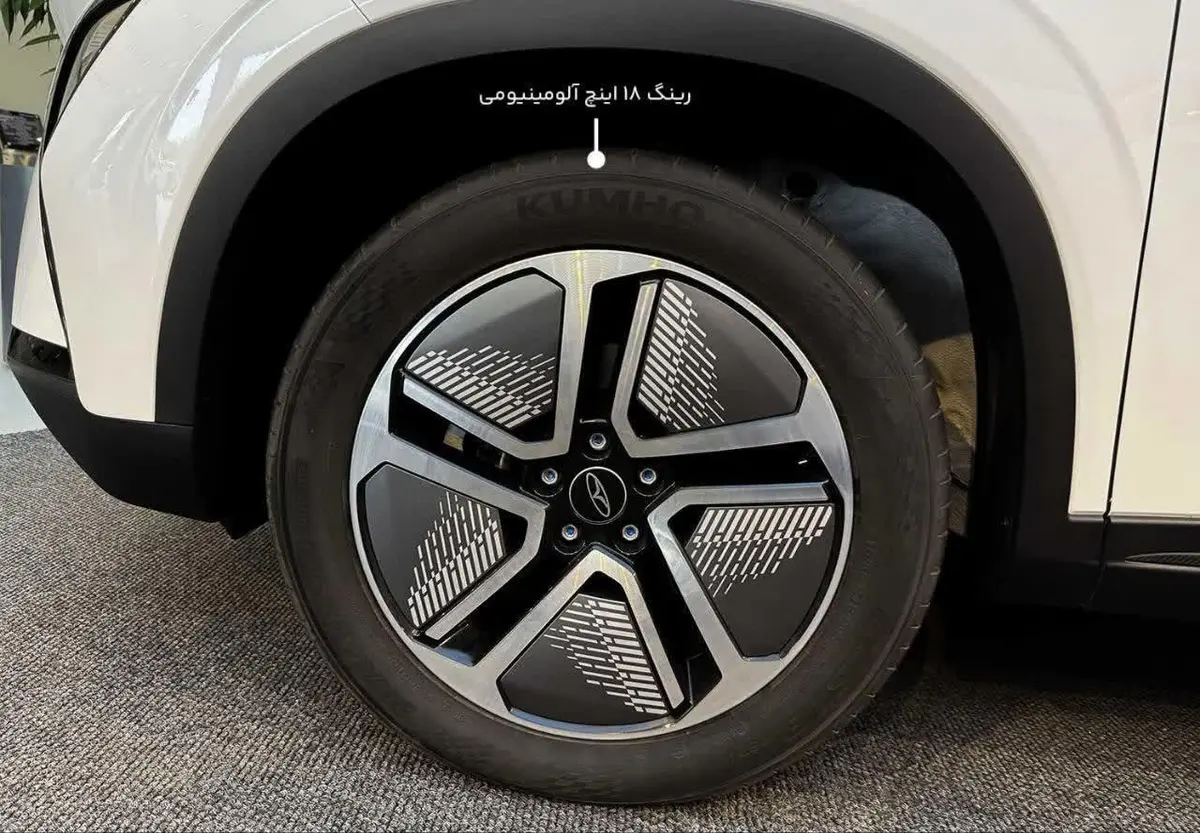فونیکس  FX EV