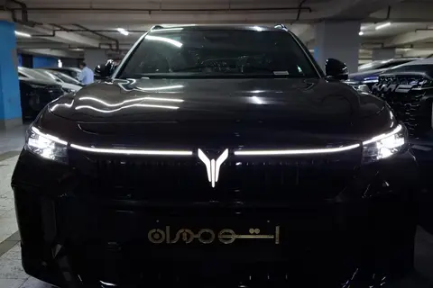 وویا، فری